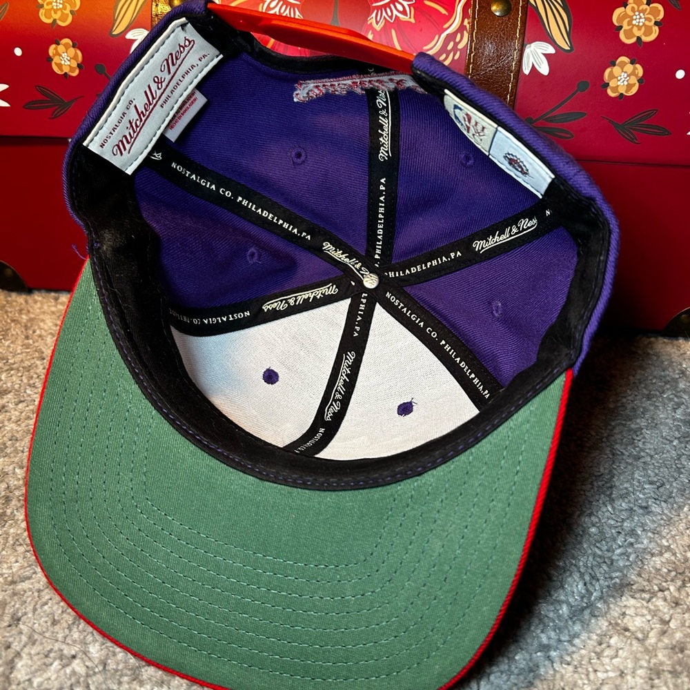 Retro Raptors Snapback - Picture 3 of 5